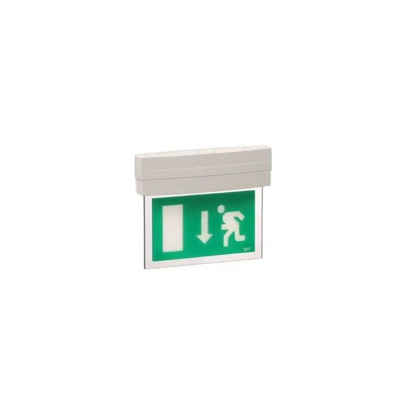 OVA58912 - Block evacuaci - Schneider