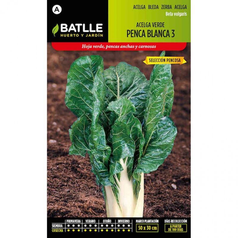 Plantawa Semillas de Acelga Verde Penca Blanca 10 gr para Siembra Anual Hortaliza para Cultivar - Battle
Plantawa Semillas de Acelga Verde Penca Blanca 10 gr para Siembra Anual Hortaliza para Cultivar - Battle
