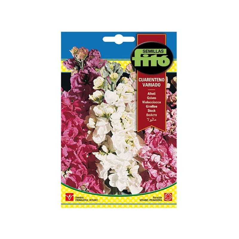 Plantawa Semillas de Alheli Cuarenteno Variado para Siembra Primavera Verano Flor para Cultivar - Fitó
Plantawa Semillas de Alheli Cuarenteno Variado para Siembra Primavera Verano Flor para Cultivar - Fitó
