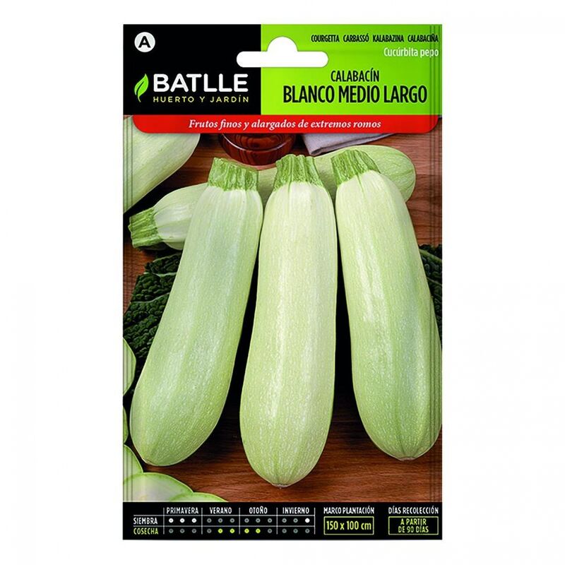 Plantawa Semillas de Calabacín Blanco Medio Largo 10 gr para Siembra Primavera Hortaliza para Cultivar - Battle
Plantawa Semillas de Calabacín Blanco Medio Largo 10 gr para Siembra Primavera Hortaliza para Cultivar - Battle