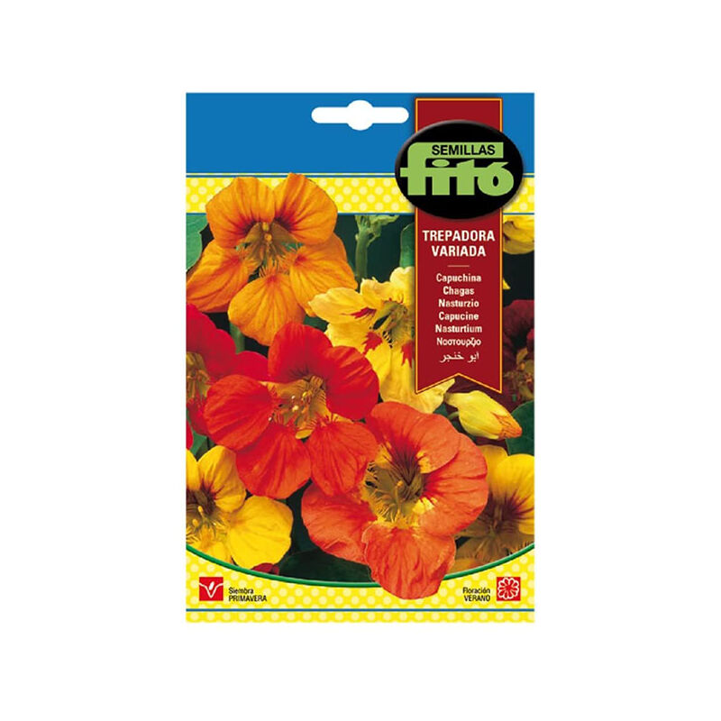 Plantawa Semillas de Capuchina Trepadora Variada para Siembra Primavera ciclo anual Flor para Cultivar - Fitó
Plantawa Semillas de Capuchina Trepadora Variada para Siembra Primavera ciclo anual Flor para Cultivar - Fitó