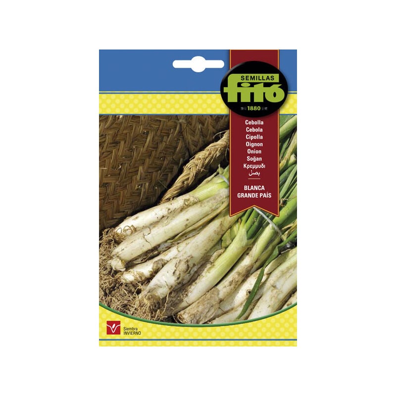 Plantawa Semillas de Cebolla Blanca Grande País 7 gr para Siembra en Invierno Hortaliza para Cultivar - Fitó
Plantawa Semillas de Cebolla Blanca Grande País 7 gr para Siembra en Invierno Hortaliza para Cultivar - Fitó