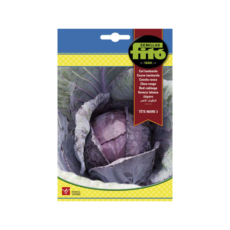 Plantawa Semillas de Col Lombarda Tete Noire 3 8 gr para Siembra en Verano Hortaliza para Cultivar - Fitó
Plantawa Semillas de Col Lombarda Tete Noire 3 8 gr para Siembra en Verano Hortaliza para Cultivar - Fitó