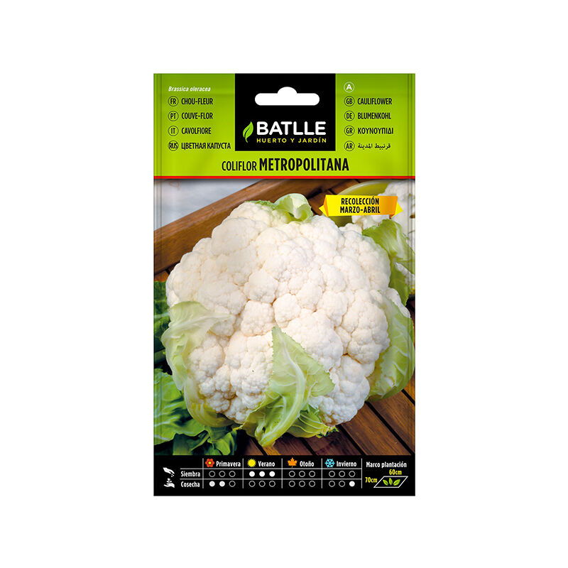 Plantawa Semillas de Coliflor Metropolitana 3 gr para Siembra Verano Hortaliza para Cultivar - Battle
Plantawa Semillas de Coliflor Metropolitana 3 gr para Siembra Verano Hortaliza para Cultivar - Battle