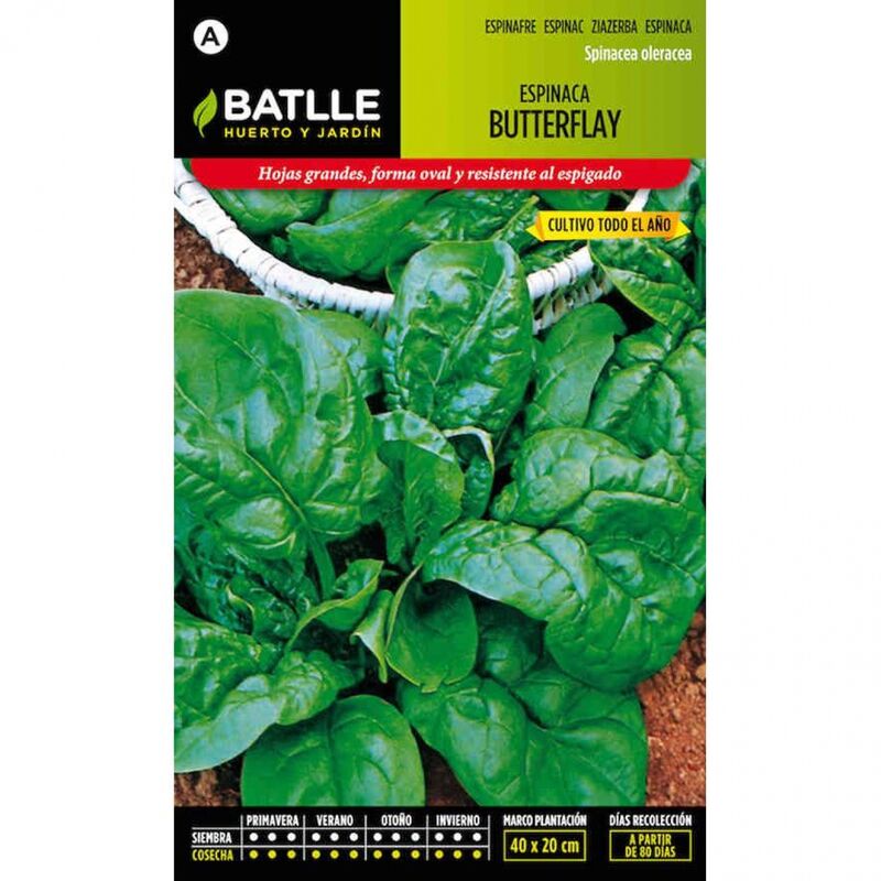 Plantawa Semillas de Espinaca Butterflay 15 gr para Siembra Anual Hortaliza para Cultivar - Battle
Plantawa Semillas de Espinaca Butterflay 15 gr para Siembra Anual Hortaliza para Cultivar - Battle