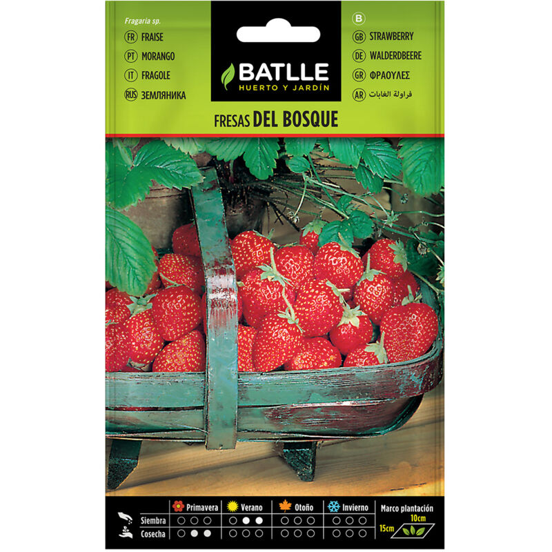 Semillas de Fresas del Bosque