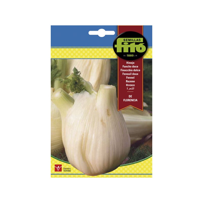 Plantawa Semillas de Hinojo de Florencia 10 gr para Siembra en Verano Hortaliza - Fitó
Plantawa Semillas de Hinojo de Florencia 10 gr para Siembra en Verano Hortaliza - Fitó
