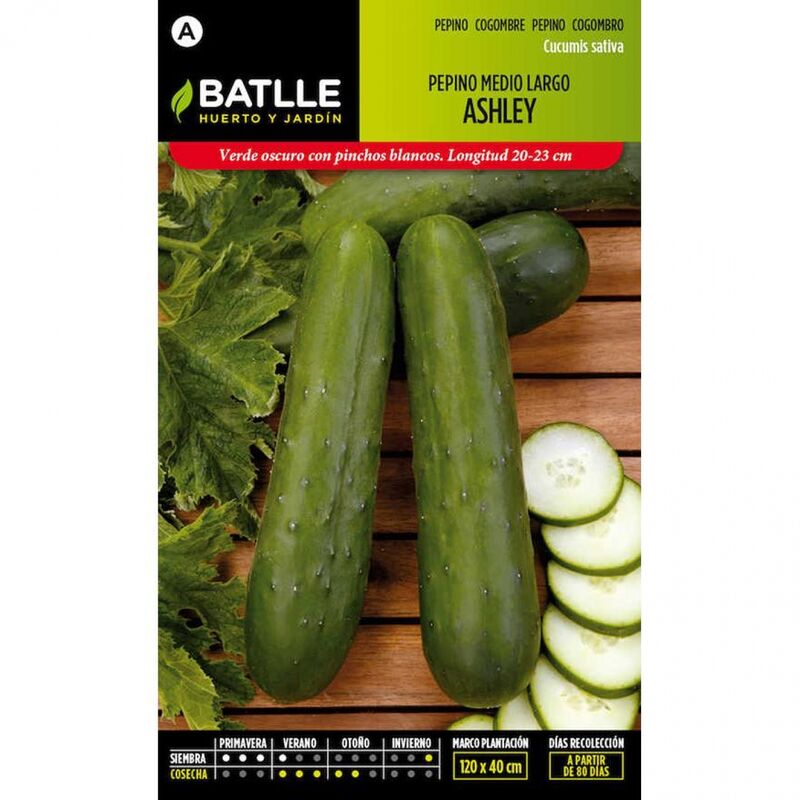 Plantawa Semillas de Pepino Ashley 6 gr para Siembra Primavera Hortaliza para Cultivar - Battle
Plantawa Semillas de Pepino Ashley 6 gr para Siembra Primavera Hortaliza para Cultivar - Battle