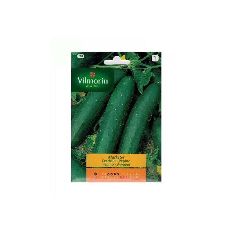 Semillas de PEPINO 5g - Vilmorin