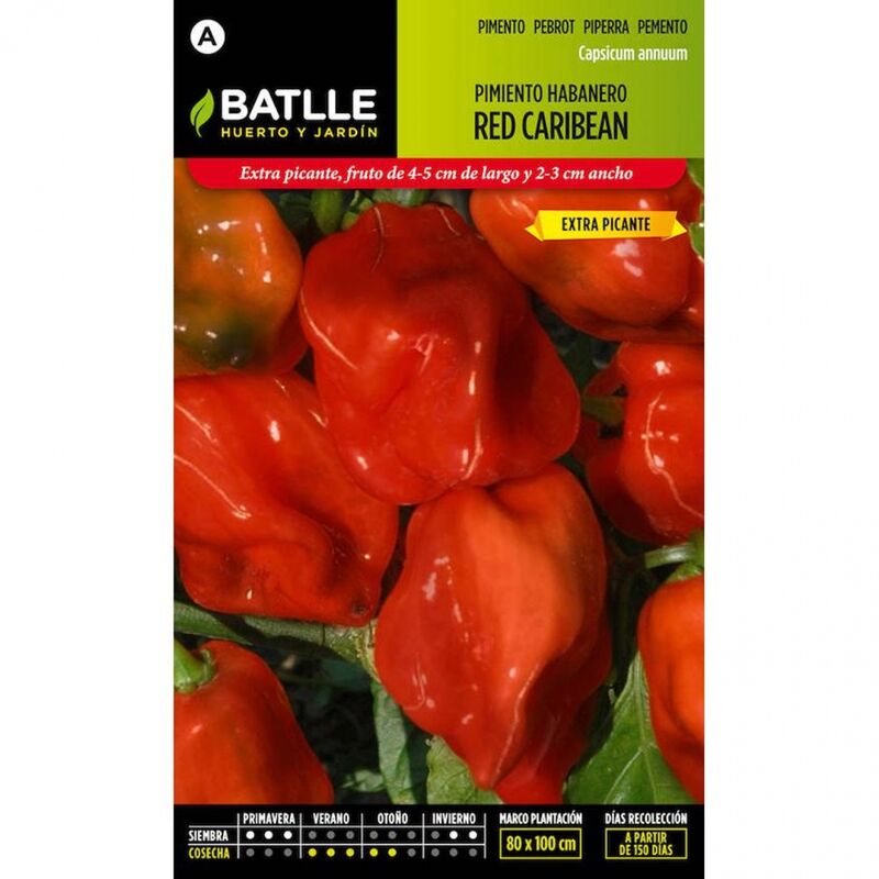 Plantawa Semillas de Pimiento Habanero Red Caribean 1 gr para Siembra Invierno Primavera Hortaliza para Cultivar - Battle
Plantawa Semillas de Pimiento Habanero Red Caribean 1 gr para Siembra Invierno Primavera Hortaliza para Cultivar - Battle