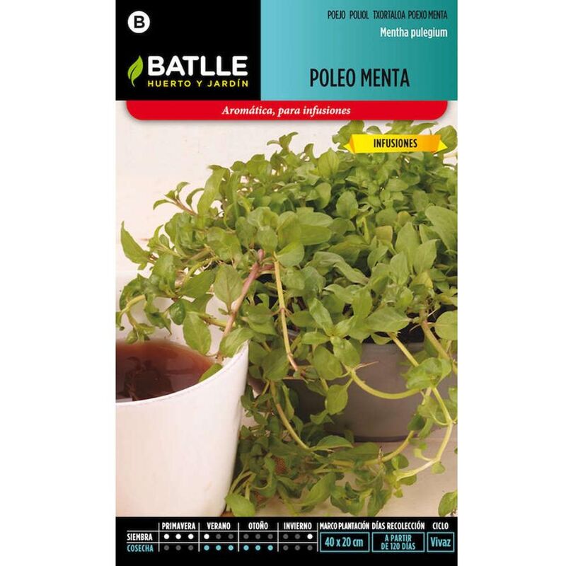 Plantawa Semillas de Poleo Menta 0.2 gr para Siembra Primavera Planta Aromática para Cultivar - Battle
Plantawa Semillas de Poleo Menta 0.2 gr para Siembra Primavera Planta Aromática para Cultivar - Battle
