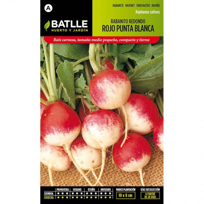 Plantawa Semillas de Rabanito Redondo Rojo Punta Blanca 35 gr para Siembra Anual Hortaliza para Cultivar - Battle
Plantawa Semillas de Rabanito Redondo Rojo Punta Blanca 35 gr para Siembra Anual Hortaliza para Cultivar - Battle