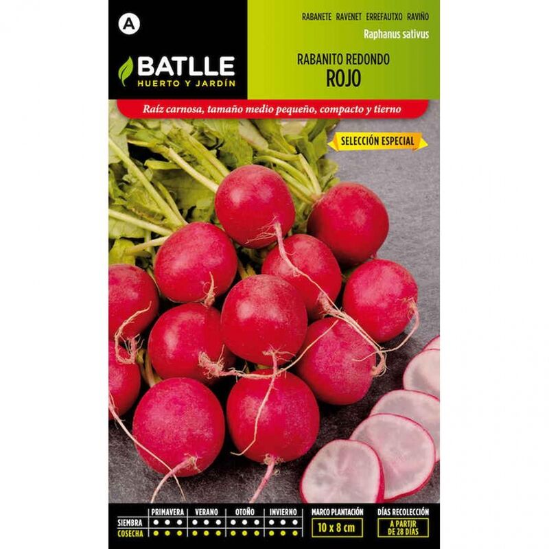 Plantawa Semillas de Rabanito Redondo Rojo 15 gr para Siembra Anual Hortaliza para Cultivar - Battle
Plantawa Semillas de Rabanito Redondo Rojo 15 gr para Siembra Anual Hortaliza para Cultivar - Battle