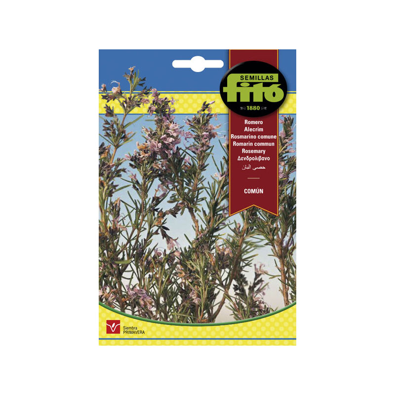 Plantawa Semillas de Romero 0.2 gr para Siembra en Primavera Planta Aromática para Cultivar - Fitó
Plantawa Semillas de Romero 0.2 gr para Siembra en Primavera Planta Aromática para Cultivar - Fitó