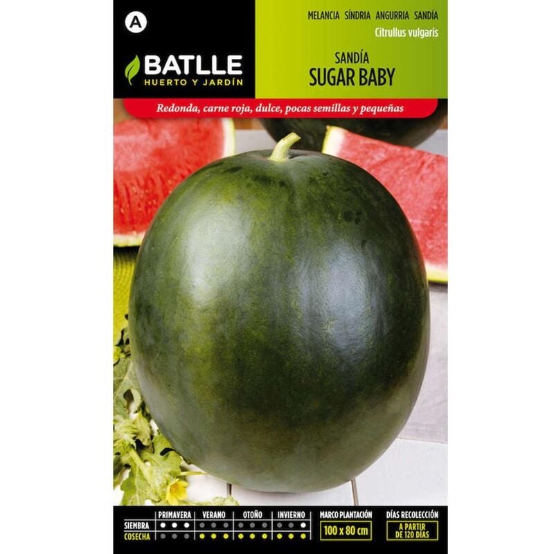 Plantawa Semillas de Sandía Sugar Baby 8 gr para Siembra Primavera Fruta para Cultivar - Battle
Plantawa Semillas de Sandía Sugar Baby 8 gr para Siembra Primavera Fruta para Cultivar - Battle