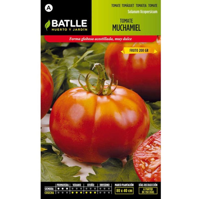 Plantawa Semillas de Tomate Muchamiel 2 gr para Siembra Primavera Hortaliza para Cultivar - Battle
Plantawa Semillas de Tomate Muchamiel 2 gr para Siembra Primavera Hortaliza para Cultivar - Battle