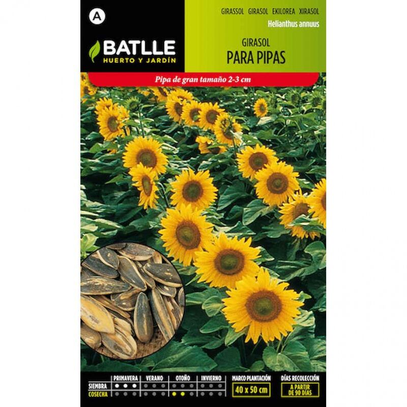 Plantawa Semillas Girasol para Pipas 10 gr para Siembra Primavera Ornamental para Cultivar - Battle
Plantawa Semillas Girasol para Pipas 10 gr para Siembra Primavera Ornamental para Cultivar - Battle