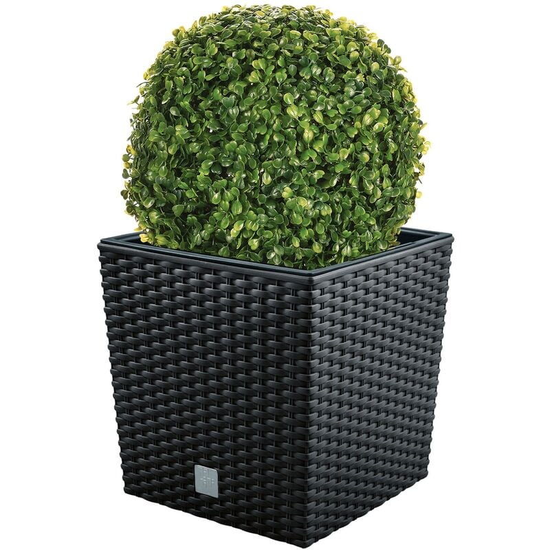 Wellhome - Set de Maceta Rato 32 litros con cubilete para plantar en color antracita 32 x 32 x 32,5 cm + Bola de boj diámetro 27 cm
Wellhome - Set de Maceta Rato 32 litros con cubilete para plantar en color antracita 32 x 32 x 32,5 cm + Bola de boj diámetro 27 cm