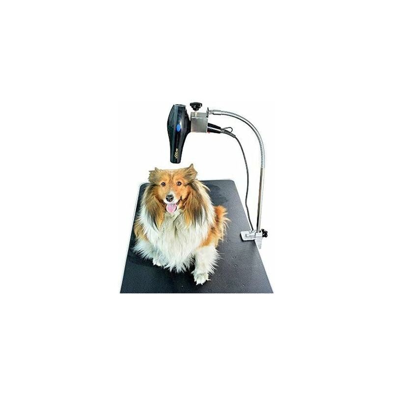 Abcrital - Suministros para mascotas Soporte para secador de pelo profesional - Solo soporte - Adecuado para usar con la mesa de aseo profesional
Abcrital - Suministros para mascotas Soporte para secador de pelo profesional - Solo soporte - Adecuado para usar con la mesa de aseo profesional