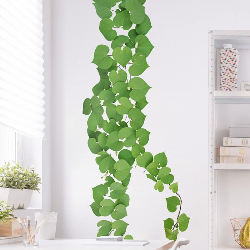 Bilderwelten - Tatuaje de pared - Heart-Shaped Leaves Ranke Dimensión LxA: 250cm x 50cm
Bilderwelten - Tatuaje de pared - Heart-Shaped Leaves Ranke Dimensión LxA: 250cm x 50cm