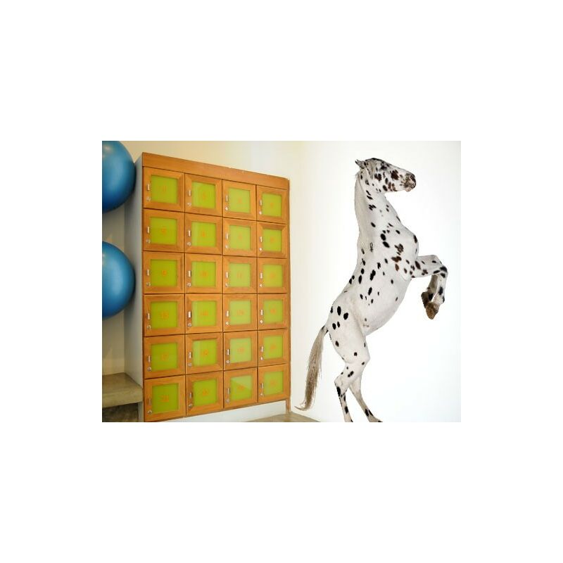Bilderwelten - Tatuaje de pared - no.310 Appaloosa Dimensión LxA: 192cm x 122cm
Bilderwelten - Tatuaje de pared - no.310 Appaloosa Dimensión LxA: 192cm x 122cm