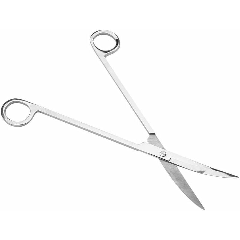 Tijeras para plantar acuarios Tijeras de vidrio de acero inoxidable Tanque de corte curvo para pecera Herramientas de jardinería acuática Herramienta
Tijeras para plantar acuarios Tijeras de vidrio de acero inoxidable Tanque de corte curvo para pecera Herramientas de jardinería acuática Herramienta