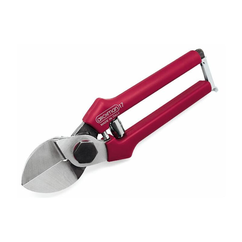 Tijeras profesionales para la poda de frutas con doble cuchilla forjada L 210 mm corte Ø 24 mm
Tijeras profesionales para la poda de frutas con doble cuchilla forjada L 210 mm corte Ø 24 mm