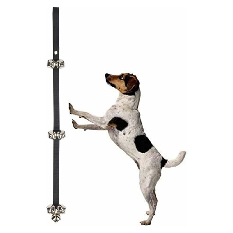 Timbres de puerta para perros Premium para ir al baño y pasar el rato, cuerda ajustable, timbre grande y ruidoso contra rasguños
Timbres de puerta para perros Premium para ir al baño y pasar el rato, cuerda ajustable, timbre grande y ruidoso contra rasguños
