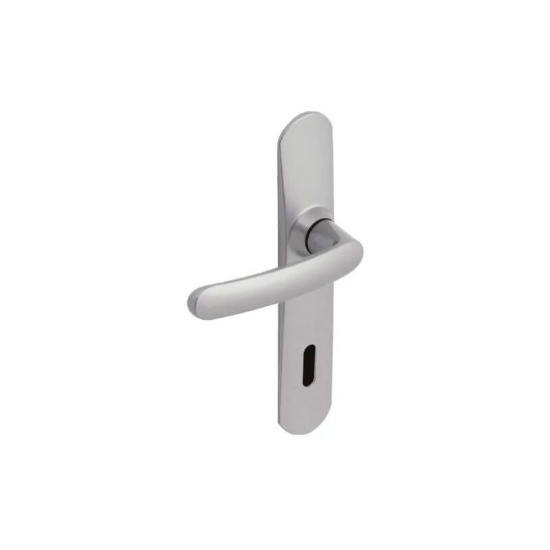 Tiradores de puerta con placa, distancia entre ejes de 195 mm, llave L, cromado espejo
Tiradores de puerta con placa, distancia entre ejes de 195 mm, llave L, cromado espejo