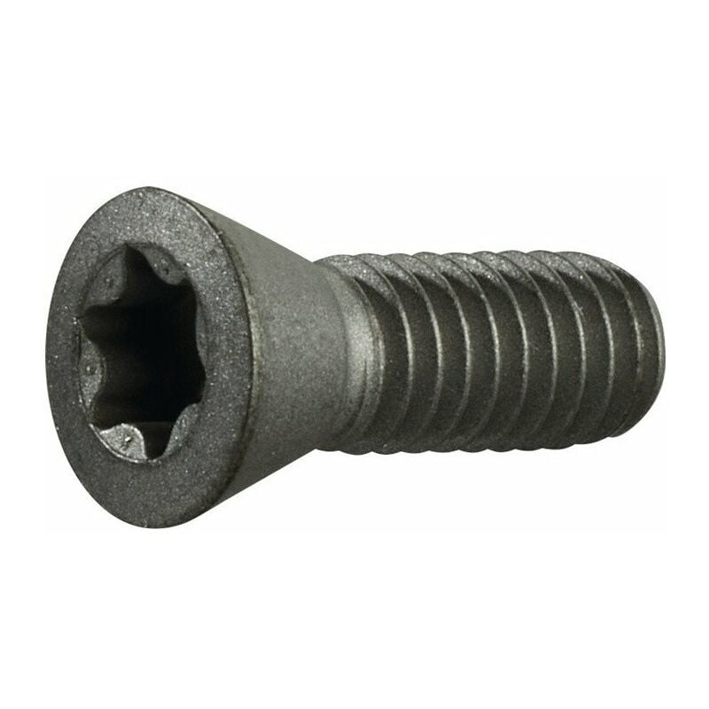 Tornillo de sujeción tamaño T20 para TCMT 16 / SCMT 12 para fresa de chaflán PROMAT
Tornillo de sujeción tamaño T20 para TCMT 16 / SCMT 12 para fresa de chaflán PROMAT