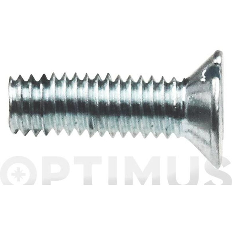 Tornillo Metrica Din 963 Zincado 3X10 C 2000
Tornillo Metrica Din 963 Zincado 3X10 C 2000