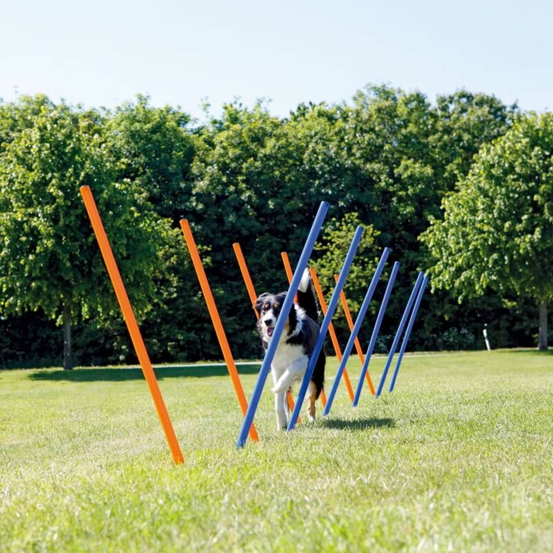 Postes de eslálom de agilidad 12 uds 115 cm plástico 3206 - Multicolor - Trixie
Postes de eslálom de agilidad 12 uds 115 cm plástico 3206 - Multicolor - Trixie