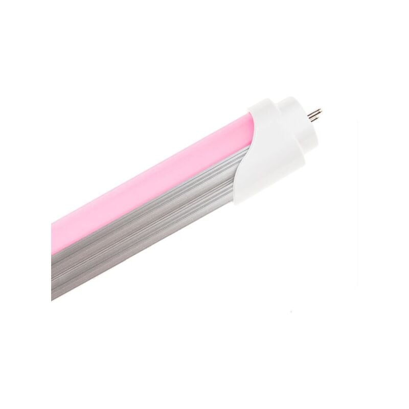 Tubo de LED T8 1200 mm 20W Especial Carniceria (Conexión 1 Lateral) Rosa | IluminaShop
Tubo de LED T8 1200 mm 20W Especial Carniceria (Conexión 1 Lateral) Rosa | IluminaShop