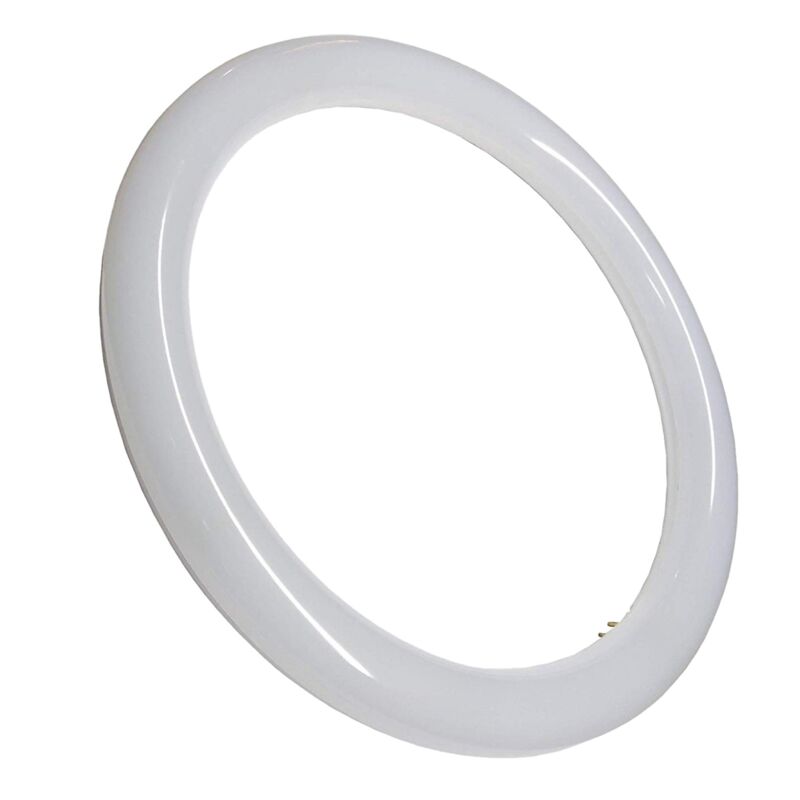 Tubo T8 Circular G10 225mm 12W 1200LM 6500K | Blanco Frío 6500K - Pack 1 Ud. - Blanco Frío 6500K
Tubo T8 Circular G10 225mm 12W 1200LM 6500K | Blanco Frío 6500K - Pack 1 Ud. - Blanco Frío 6500K