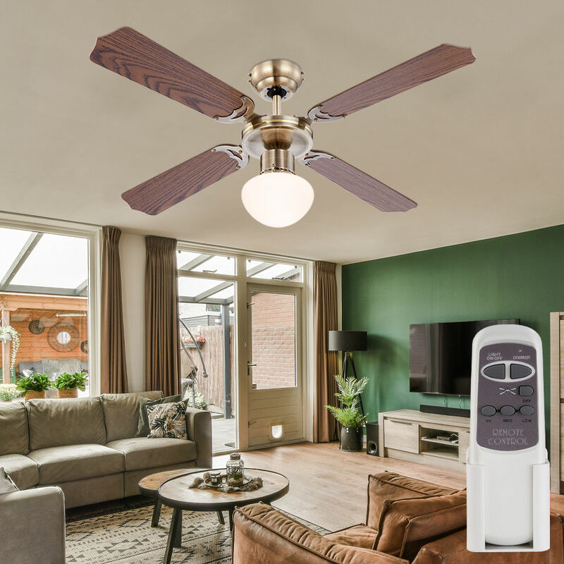 Ventilador de techo LED con mando a distancia 3 niveles avance / retroceso MDF roble 106,6 cm
Ventilador de techo LED con mando a distancia 3 niveles avance / retroceso MDF roble 106,6 cm