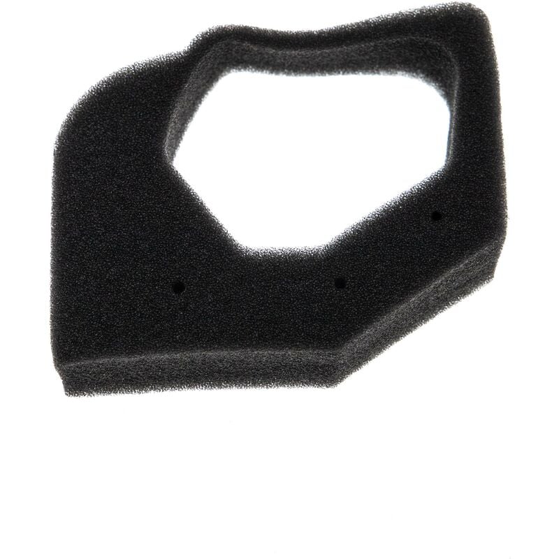 Filtro (1x filtro de espuma) reemplaza Honda 17211-Z0H-000, 17211Z0H000 para bordeadora - Vhbw
Filtro (1x filtro de espuma) reemplaza Honda 17211-Z0H-000, 17211Z0H000 para bordeadora - Vhbw