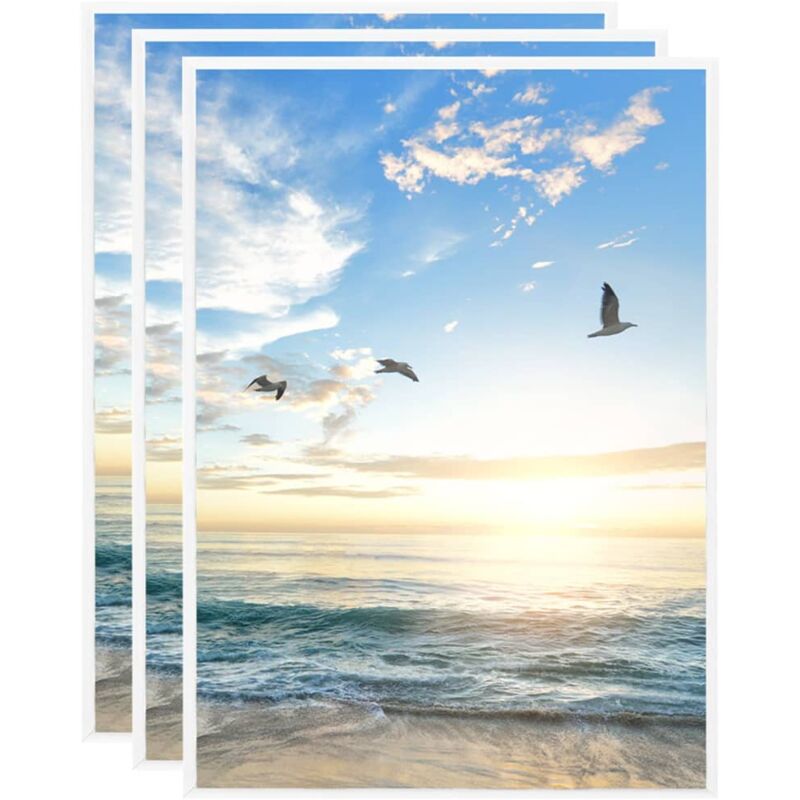 Marcos de foto collage de pared/mesa 3 uds blanco MDF 15x21 cm - Blanco - Vidaxl
Marcos de foto collage de pared/mesa 3 uds blanco MDF 15x21 cm - Blanco - Vidaxl