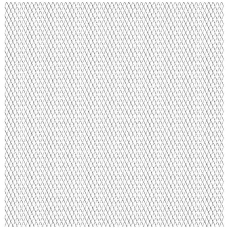 Valla Alambrada de Jardín Acero Inoxidable 50x50 cm 30x17x2.5 mm - Plateado - Vidaxl
Valla Alambrada de Jardín Acero Inoxidable 50x50 cm 30x17x2.5 mm - Plateado - Vidaxl