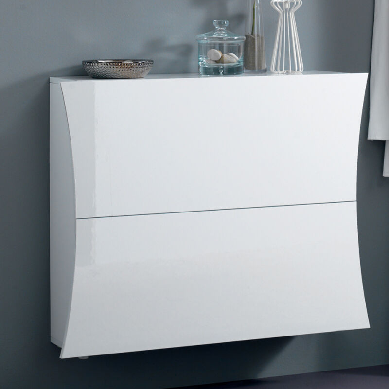 Ahd Amazing Home Design - Zapatero 2 puertas 16 pares de zapatos de diseño blanco brillante entrada Arco S
Ahd Amazing Home Design - Zapatero 2 puertas 16 pares de zapatos de diseño blanco brillante entrada Arco S