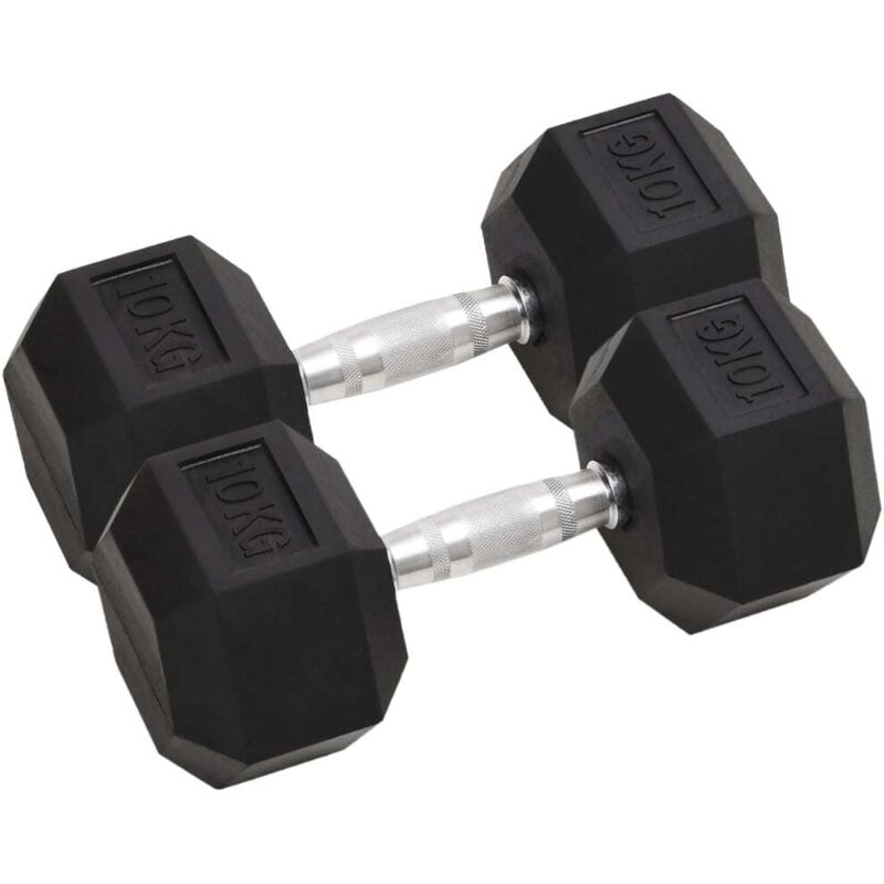 Kurzhanteln 2 Stk. 20 Kg Gesamt Gusseisen Vidaxl