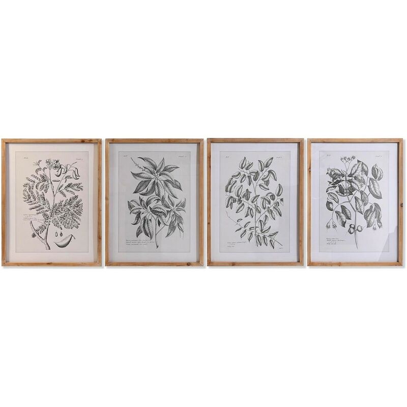 Image of Quadro Dkd Home Decor Abete Cristallo 50 x 65 x 2 cm 50 x 2 x 65 cm Piante botaniche (4 Pezzi)