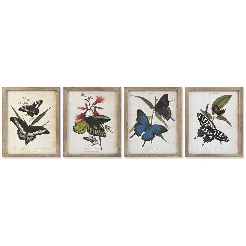 Image of Quadro DKD Home Decor Farfalle 40 x 2 x 50 cm Shabby Chic (4 Pezzi)