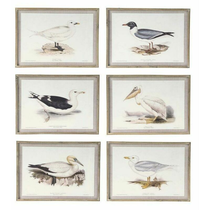 Image of Dkd Home Decor - Quadro 70 x 2,5 x 50 cm Tradizionale Uccelli (6 Pezzi)