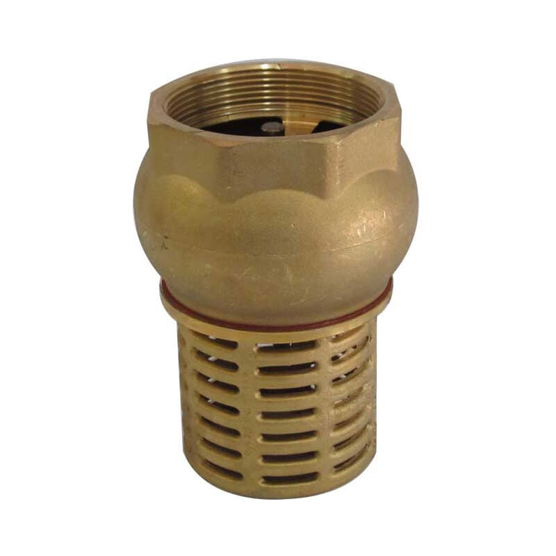 1 1/2' laiton d'aspiration de la vanne contrôle clapet anti-retour pour la pompe