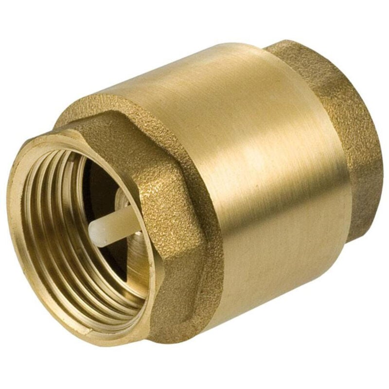 1 1/4 (5/4) Inch chèque laiton clapet anti-retour femelle avec insert plastique