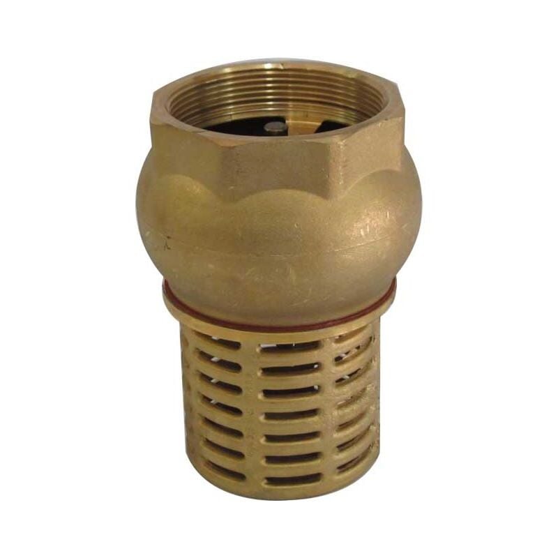 1' BSP Female Check Foot Valve Suction Brass Non Return Valve for Pump