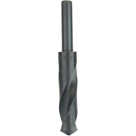 1/2" Fraise en Acier à Grande Vitesse21mm de Forêt de Torsion de HSS(21mm)