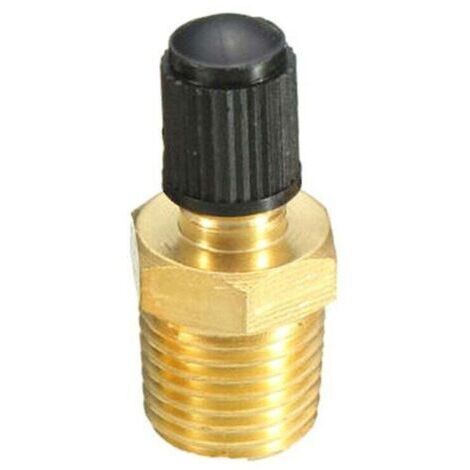 1/4" Npt Tank Valve Anti-corrosion Brass Schrader Valve With 1/4" Male Npt