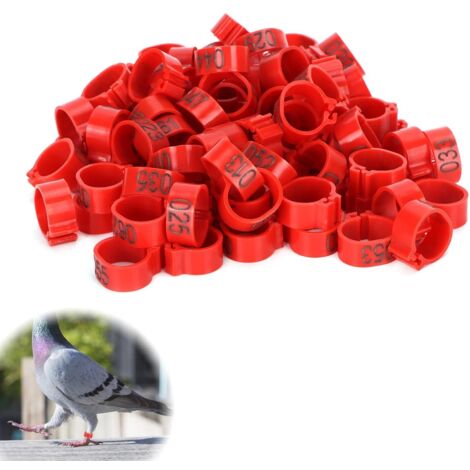 Cage Piège à Rats Réutilisable – 41x14x11 Cm – 2 Entrées – Capture Vivante Souris, Mulots – Pour Intérieur Et Extérieur