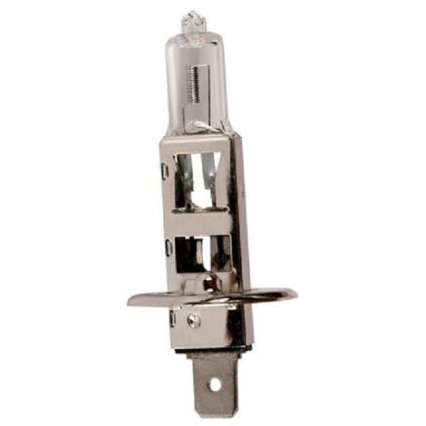 1 Ampoule H1 12V 100W 3000K - P14.5S x10